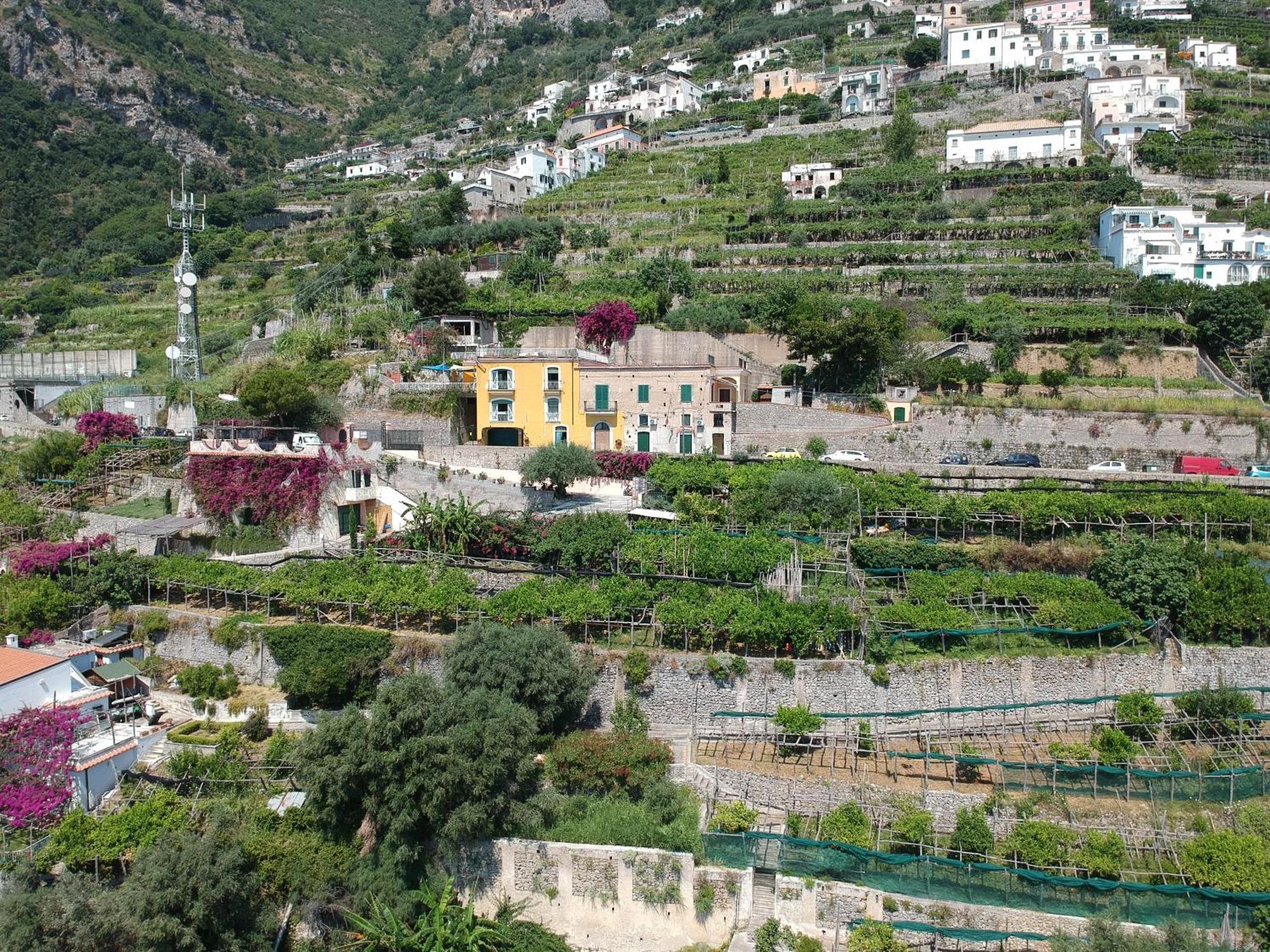 Agriturismo Fuoco D'Amalfi Villa Iazzetta Luaran gambar